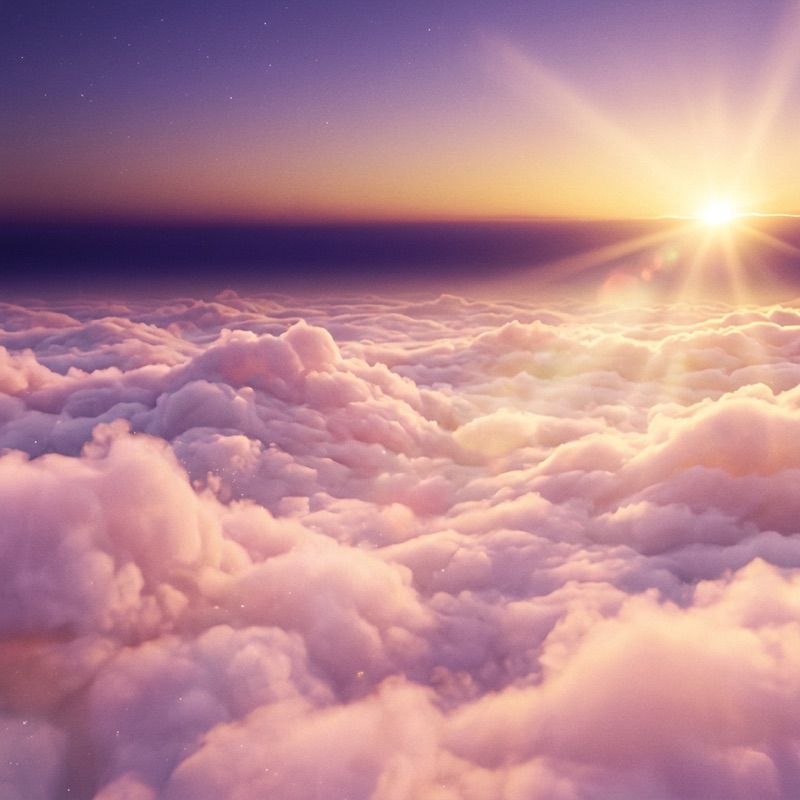 Morning Light